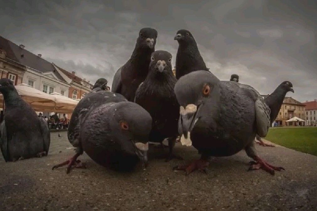 lorenaaorsi's tweet image. eu e meus #manos esperando o pomba aparecer