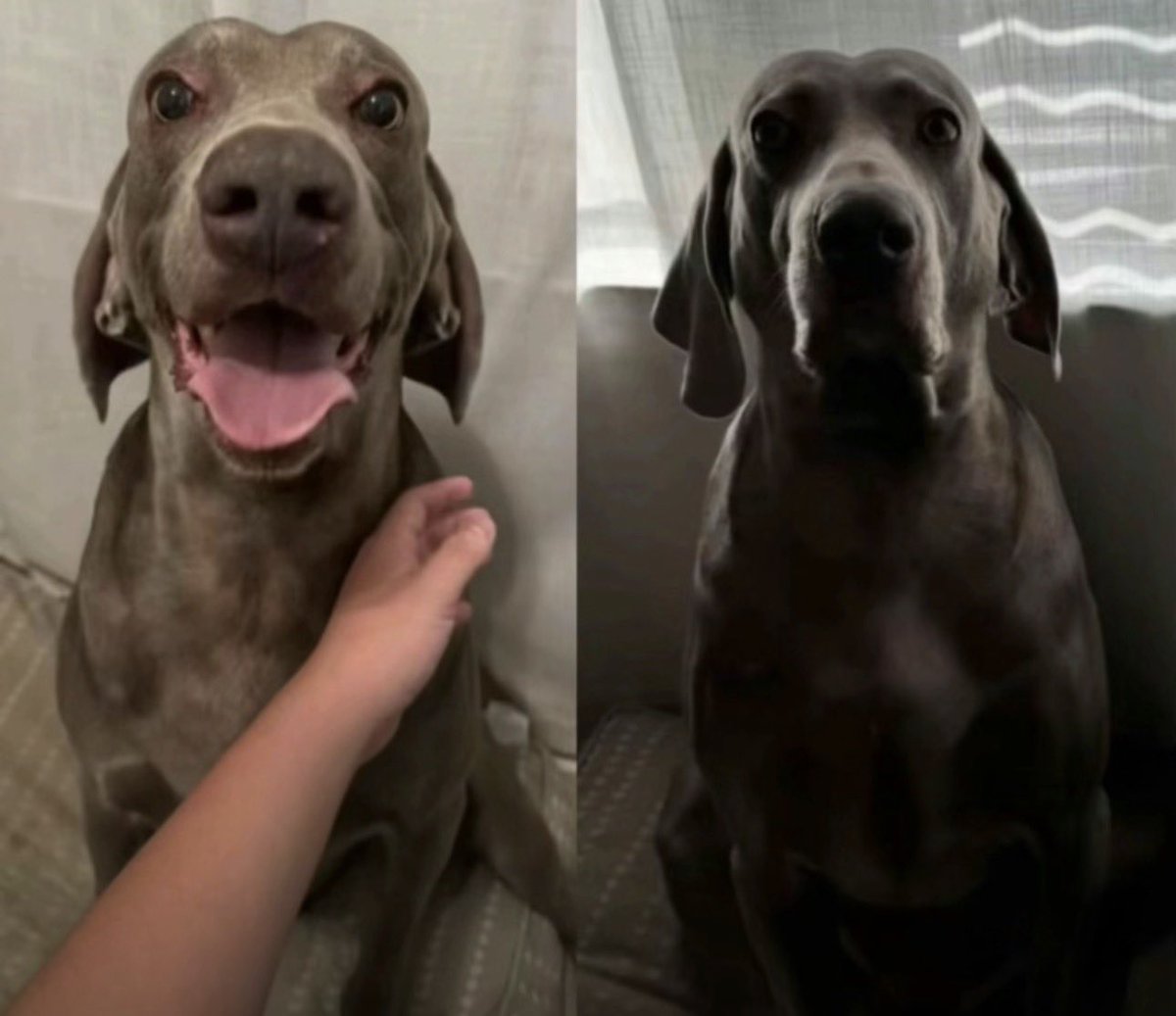 Landed outside of T64 with a pickup squad 😔 Got rounded in the 3rd, GG’s to everyone