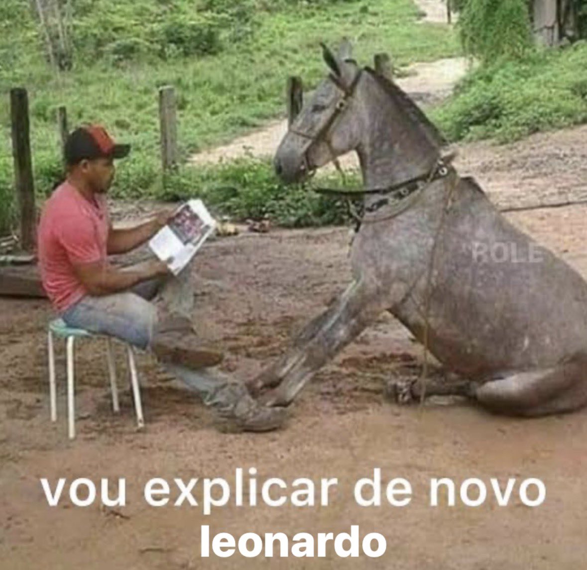 a lore assim com o léo no barzinho
