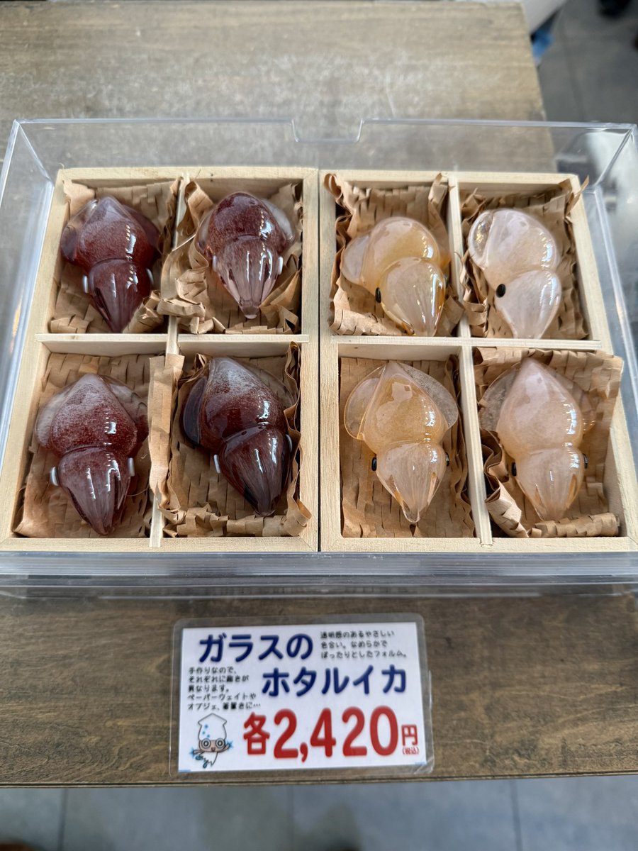 ほたるいかミュージアムにガラスのホタルイカ入荷してまーす！！！ 一