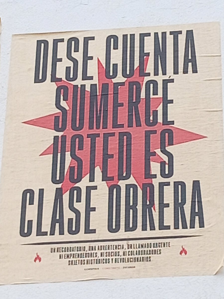 💮Mónica tweet media