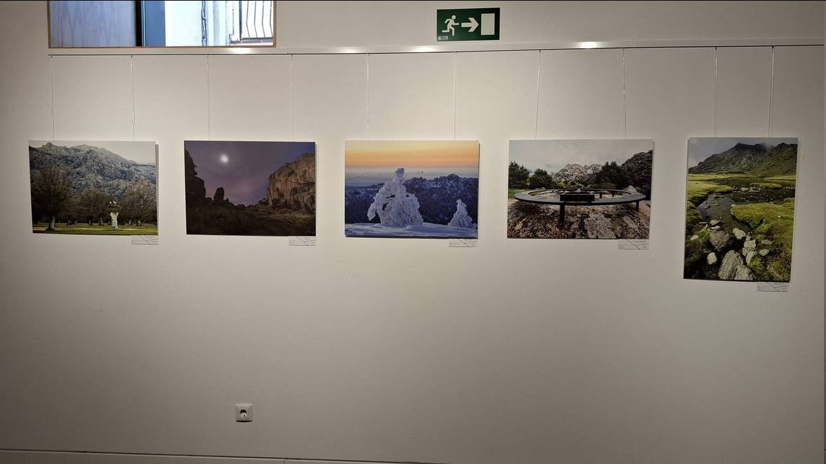 Inauguración exposición ganadores concurso de fotografía

Galardonados durante diez años. En esta muestra de fotografías, podremos recrearnos con las imágenes ganadoras de los concursos de fotografía celebrados en el parque nacional durante una década

📍 Miraflores de la Sierra