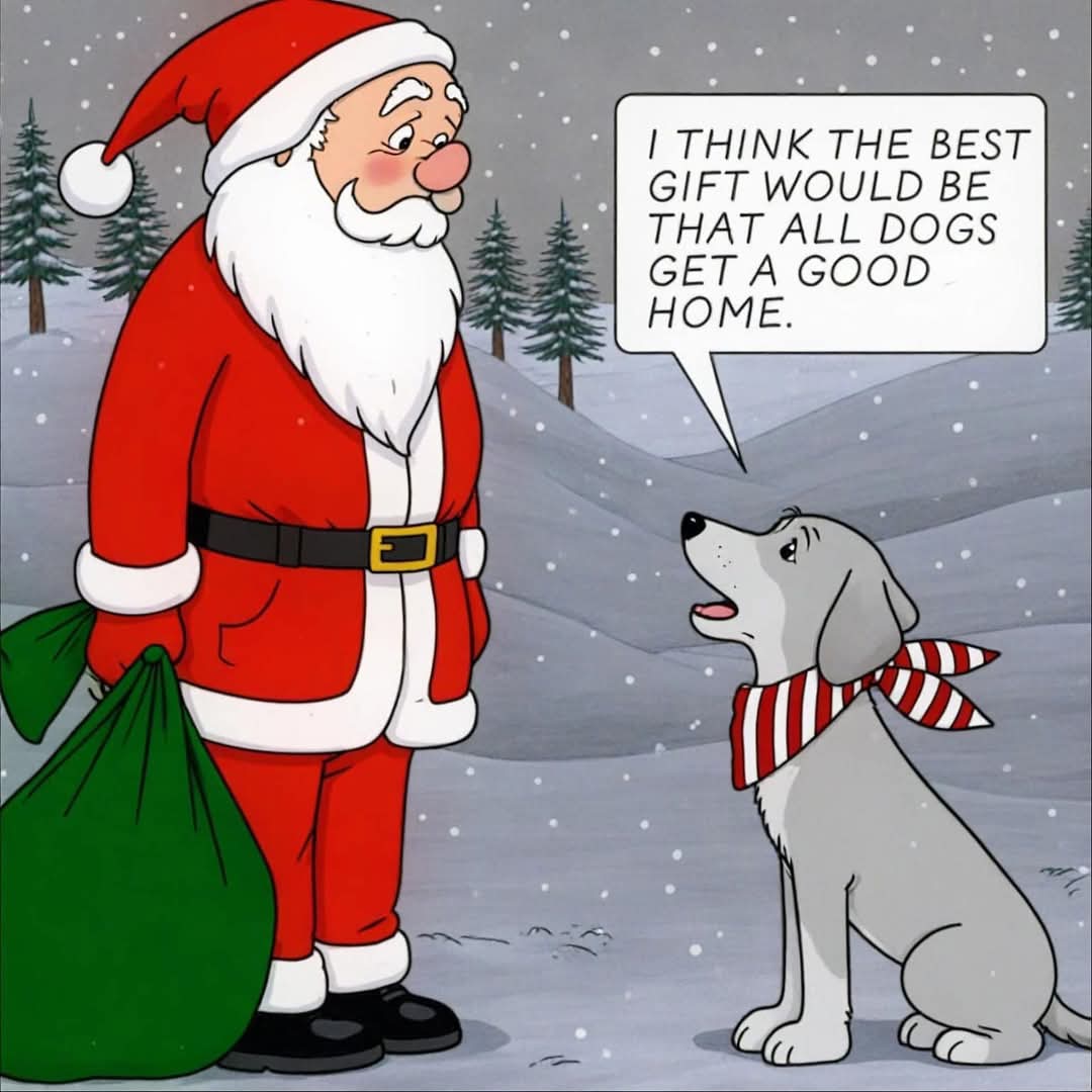 That's our Christmas wish, too