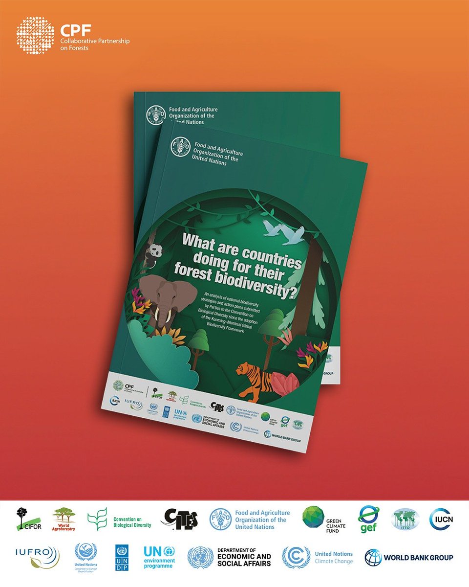 New CPF study: Countries are prioritizing sustainable forest management to protect biodiversity, with climate change and invasive species ranked as top threats.

Download a copy:🔗 bit.ly/3XH8bVp

#CPForests #Trees4Resilience
