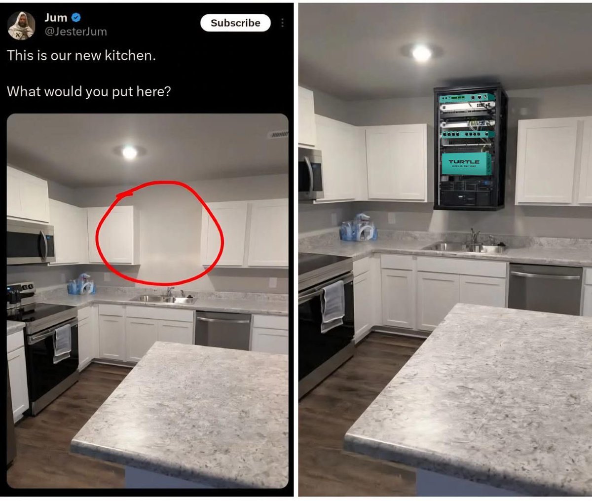 Turtle AV tweet media