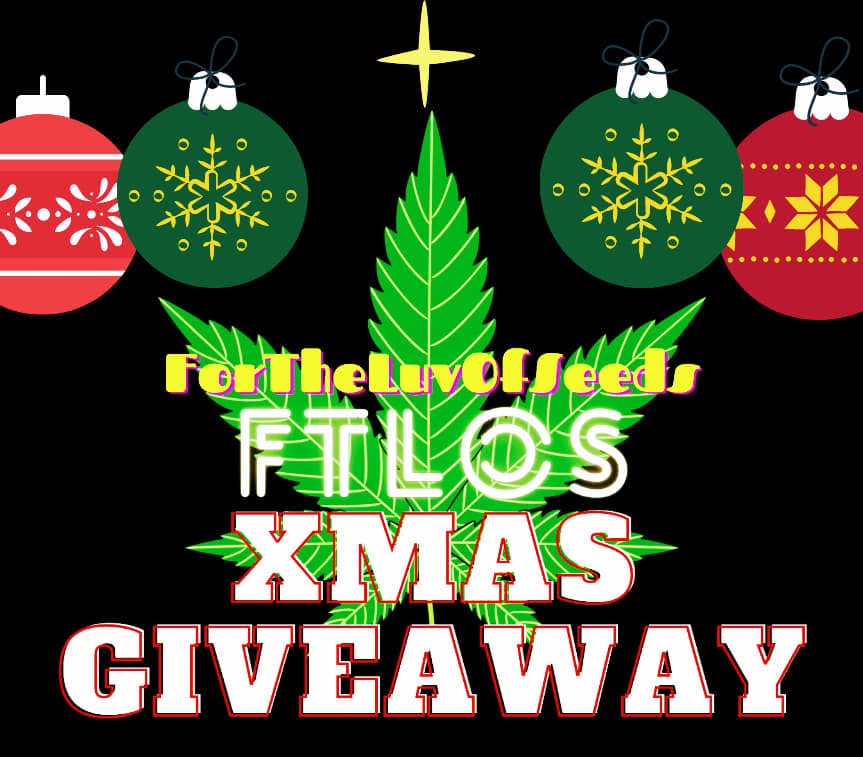 ForTheLuvOfSeeds tweet media