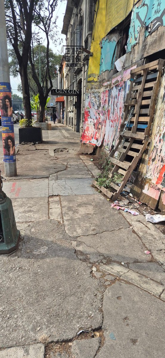 hugopaco's tweet photo. Av Oaxaca Col Roma... si asi estan las calles turísticas como esperamos que esten el resto @AlcCuauhtemocMx @AlessandraRdlv https://t.co/37McTVbR7G