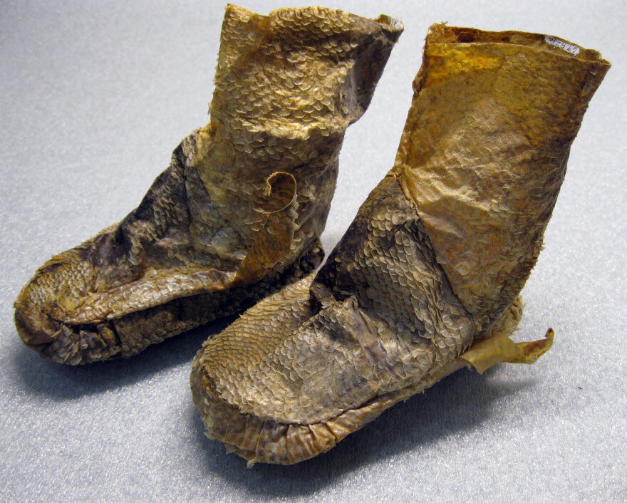 mudled's tweet image. 