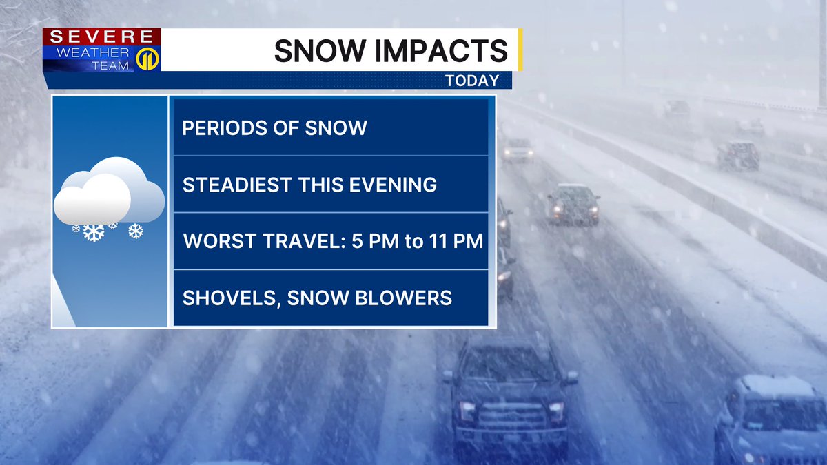 Stephanie Allison tweet media