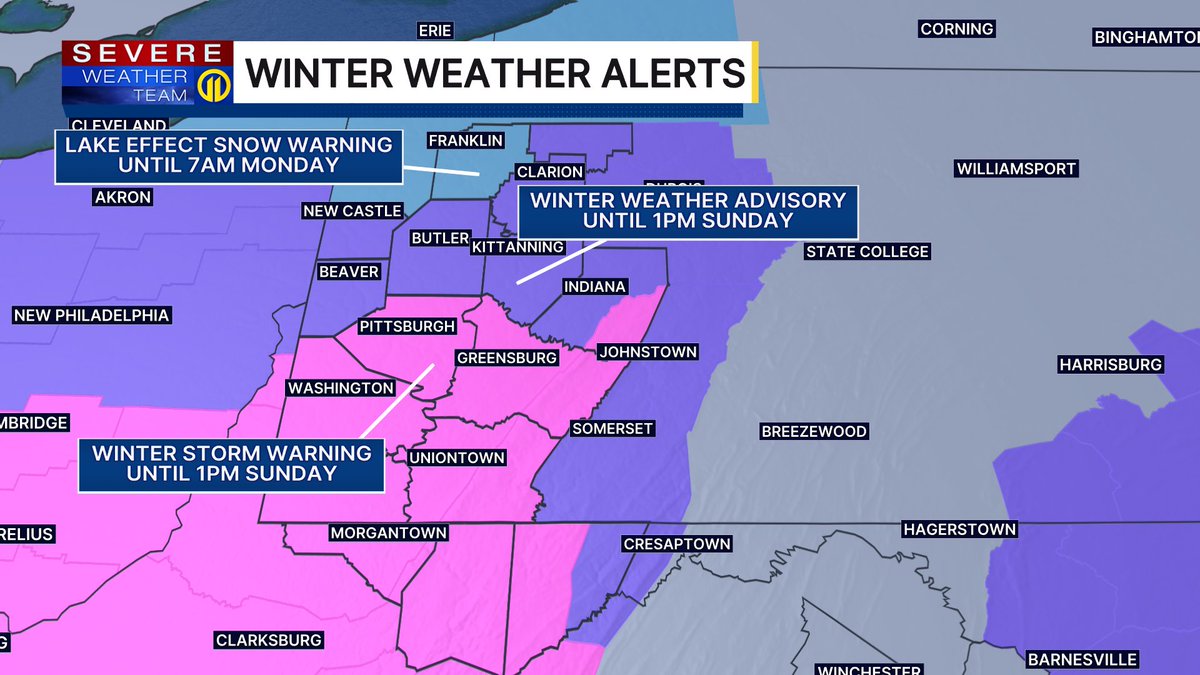 Stephanie Allison tweet media