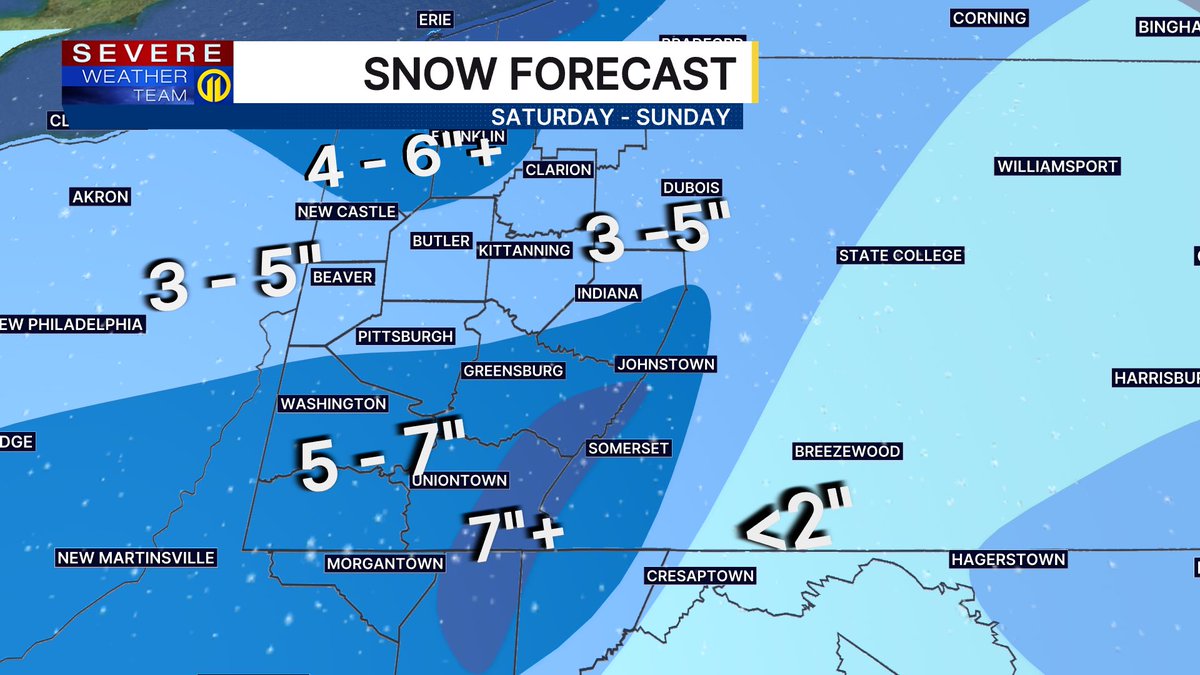 Stephanie Allison tweet media