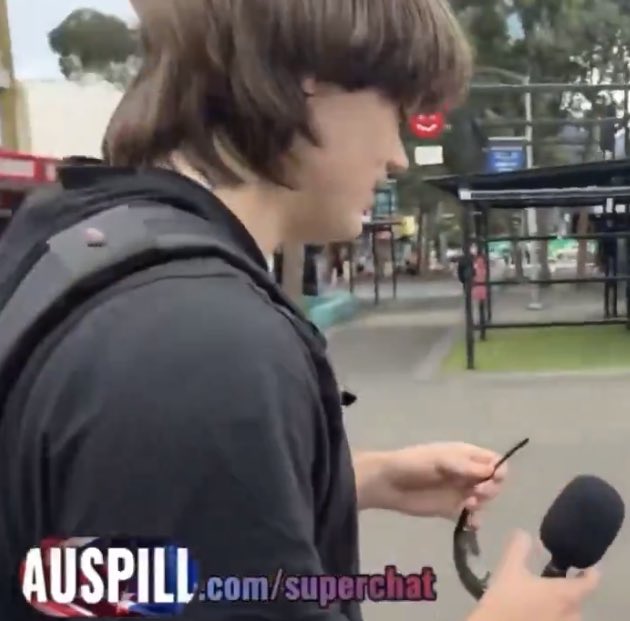 Windsor Beaver tweet media