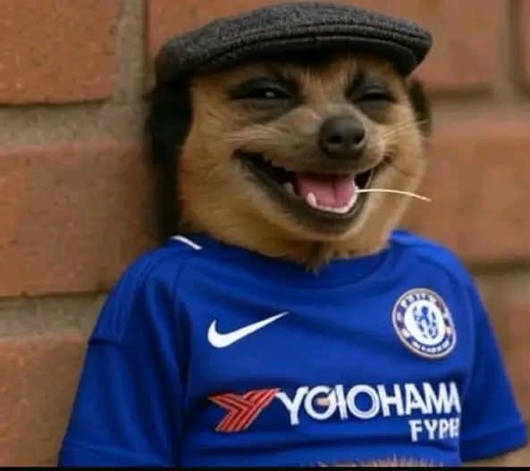 ChelfcAbby's tweet photo. 65mins: the best team in the world not by titles won but by number of clean sheets this season has only one shot on target against wolves at home. #ARSWOV https://t.co/Kb47YU787o