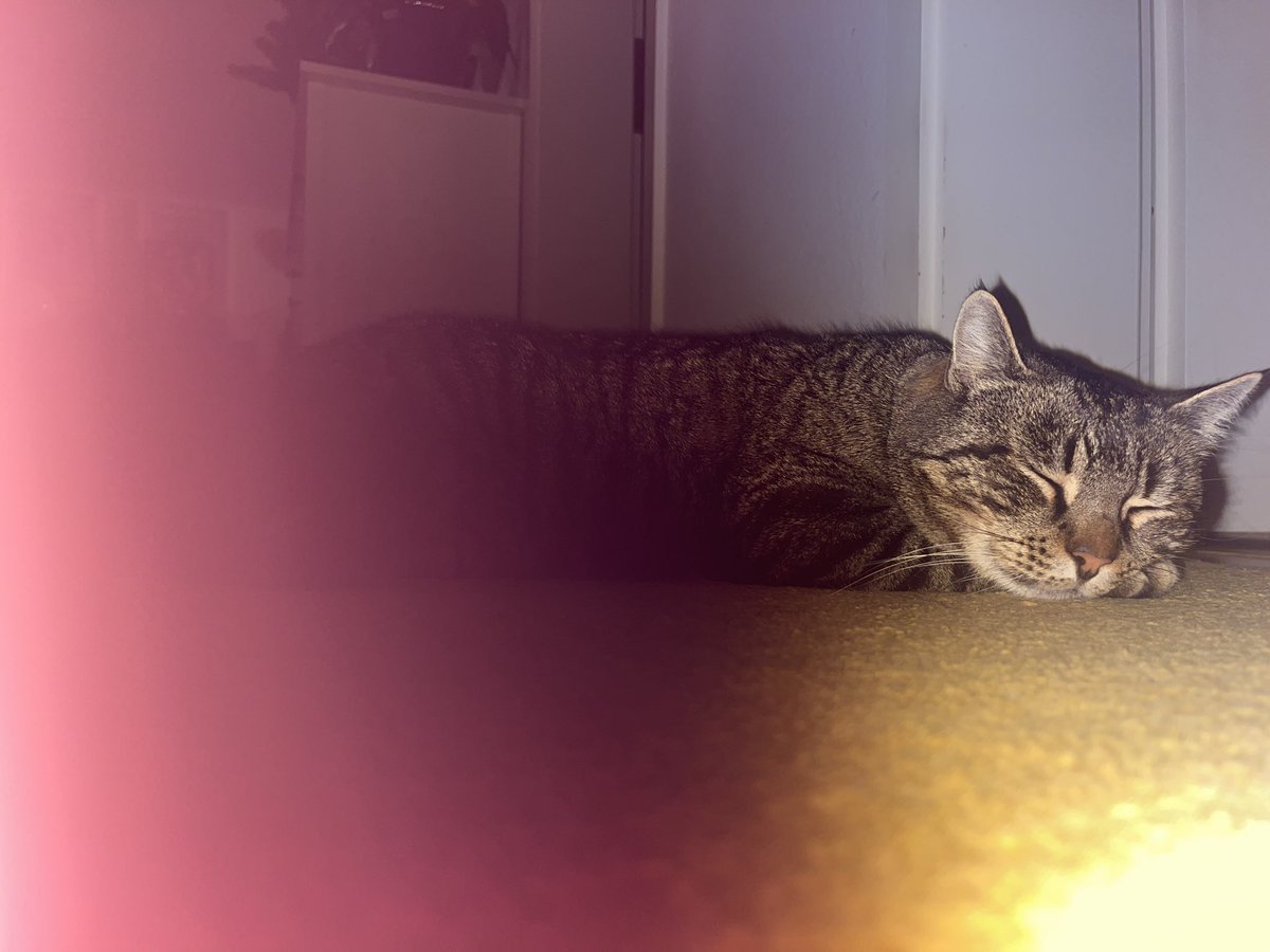 Java_U_Selu's tweet image. Good night