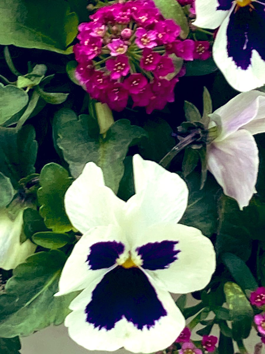 たくみん@いつも前向きブロガー tweet media