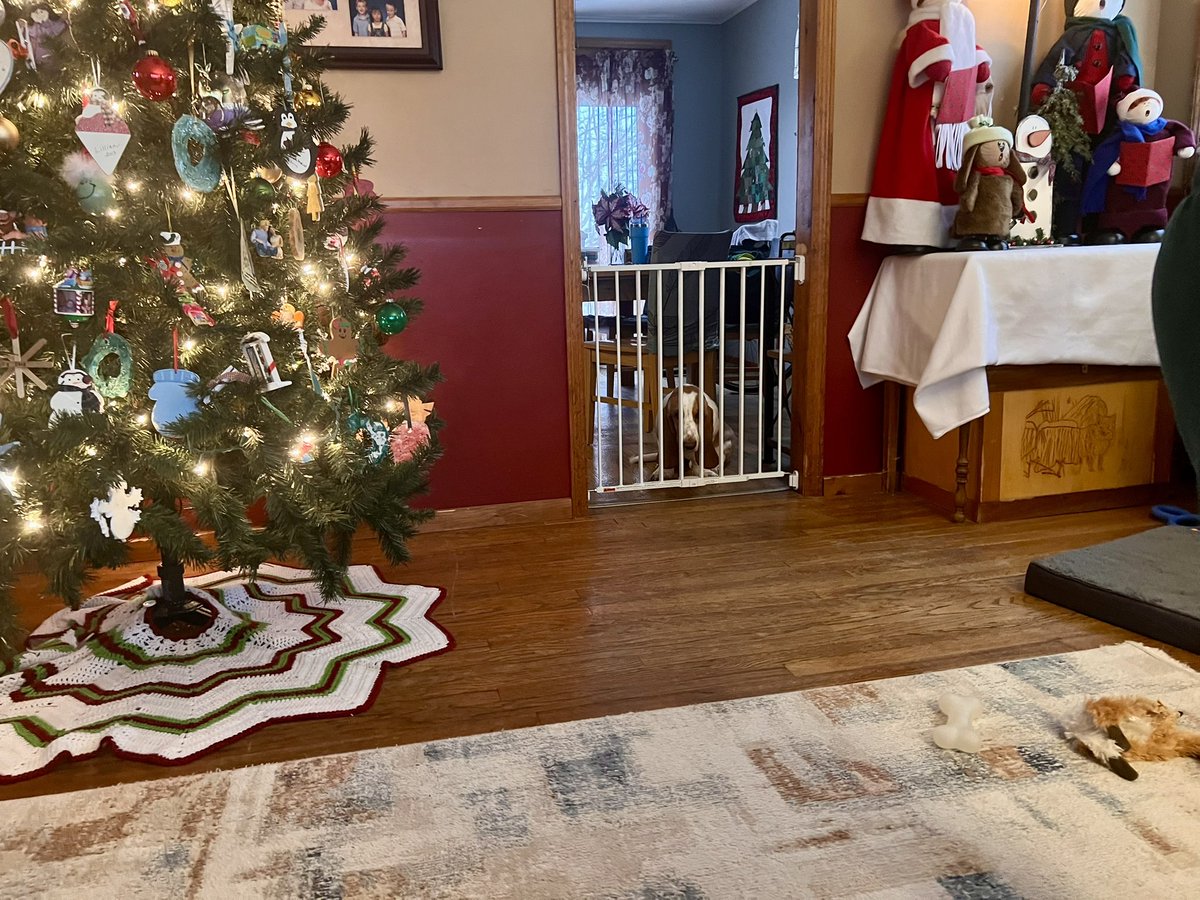 sixtaters's tweet photo. When you are trying to watch an action movie but their is better action going on at your feet! Somepup could end up behind bars !
#AdoptDontShop 
#bassethound
#supermutt https://t.co/mzocIp8JbQ