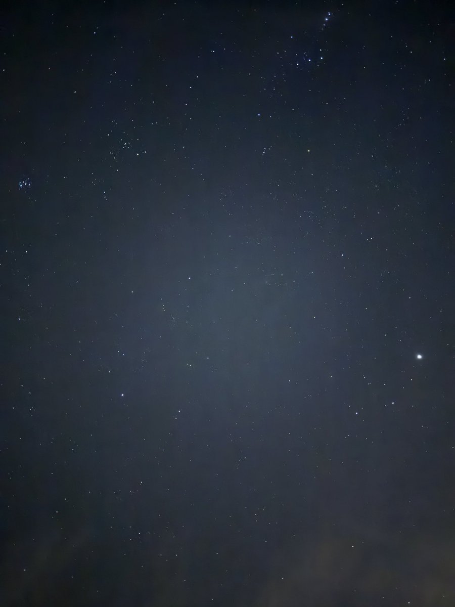 August___79's tweet image. ✨✨✨✨