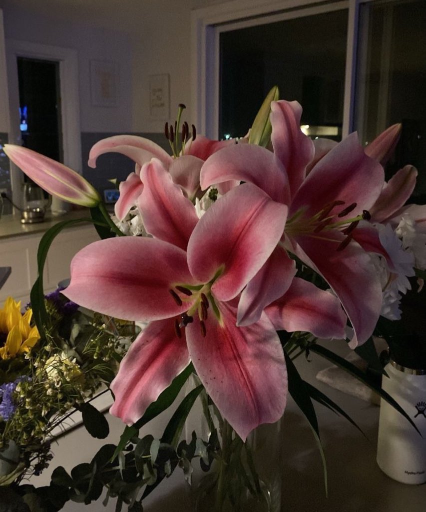i3Moment's tweet image. Lilies