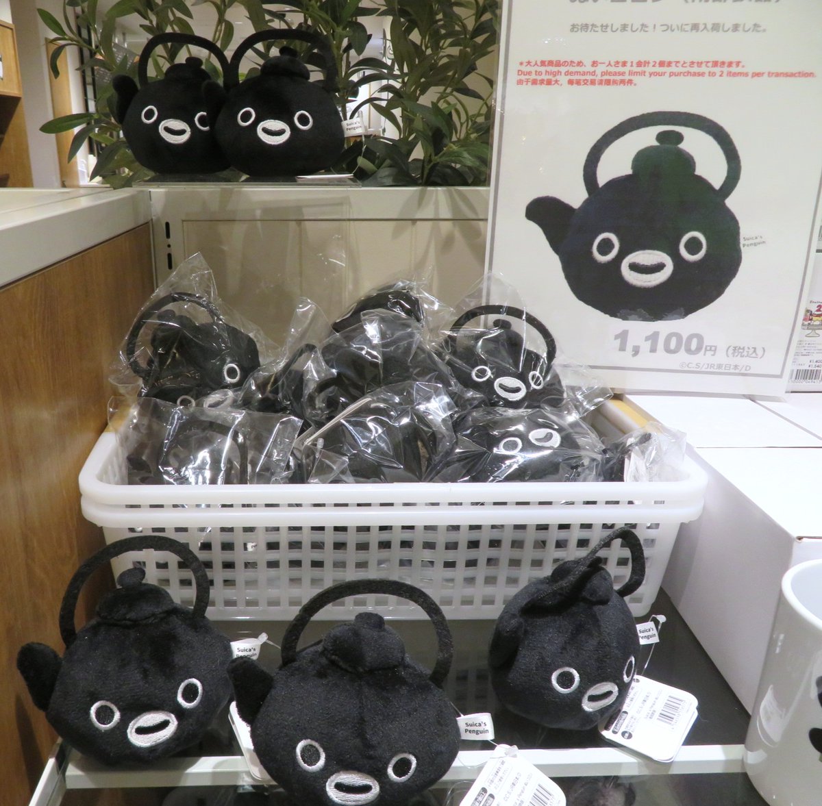 ペンスタ各店に Suicaのペンギン ぬいコロン(南部鉄器)再入荷しました