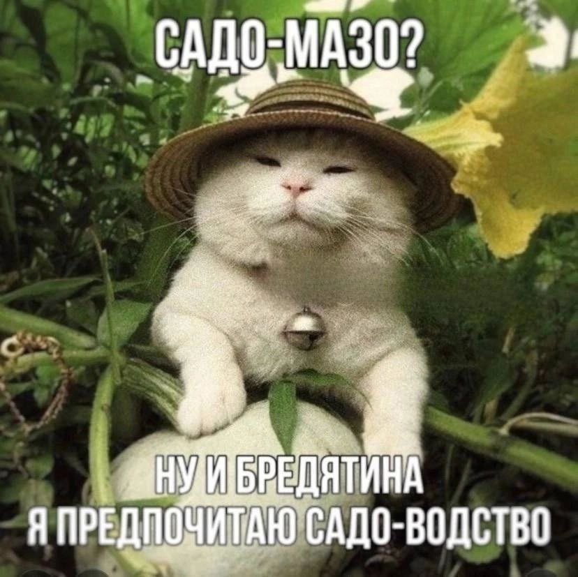 SerGay_666's tweet photo. Итоги года, но скидываем только мемы

А не себя откуда-нибудь… https://t.co/7rJFRsfymK