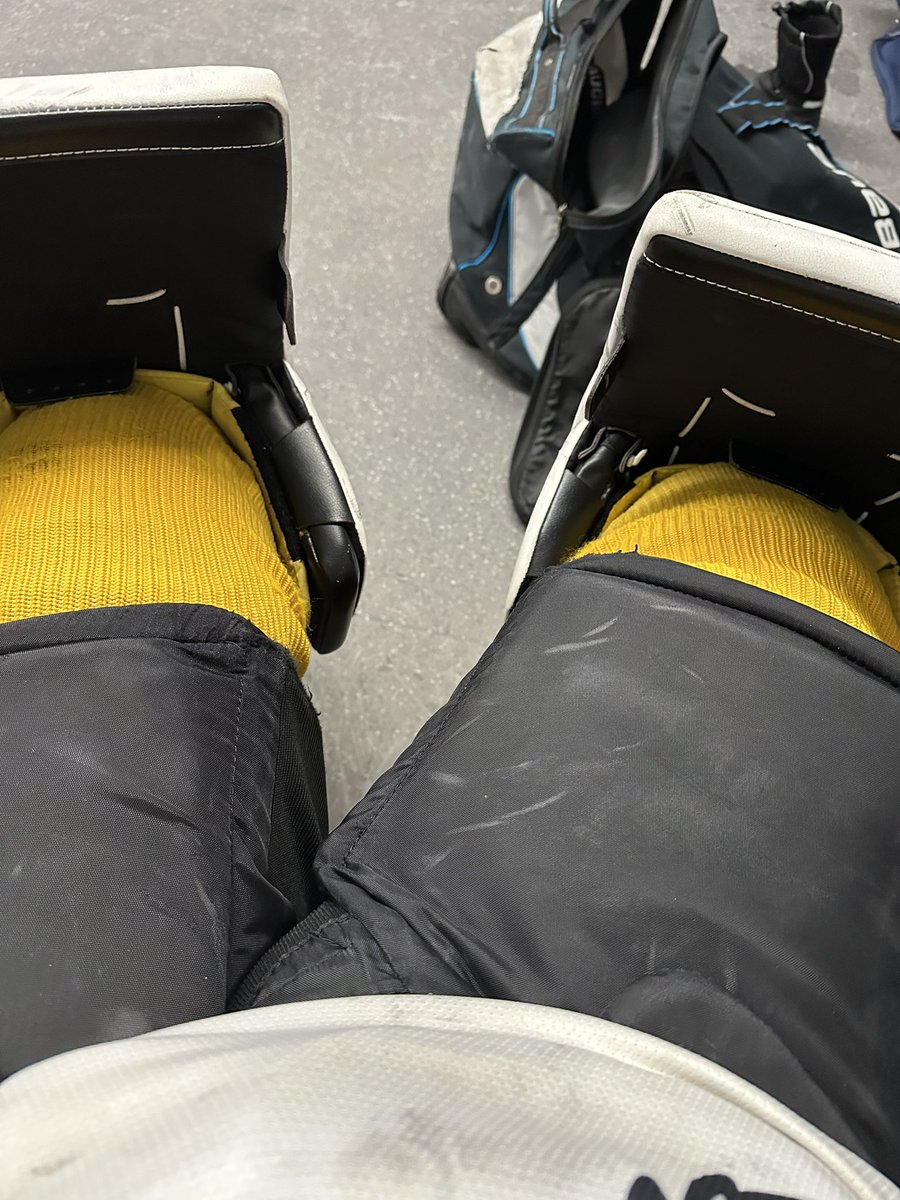 Hockey Pup - FE tweet media