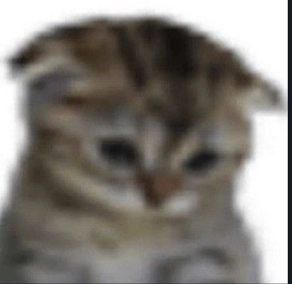 just binged.... it was so embarrassing