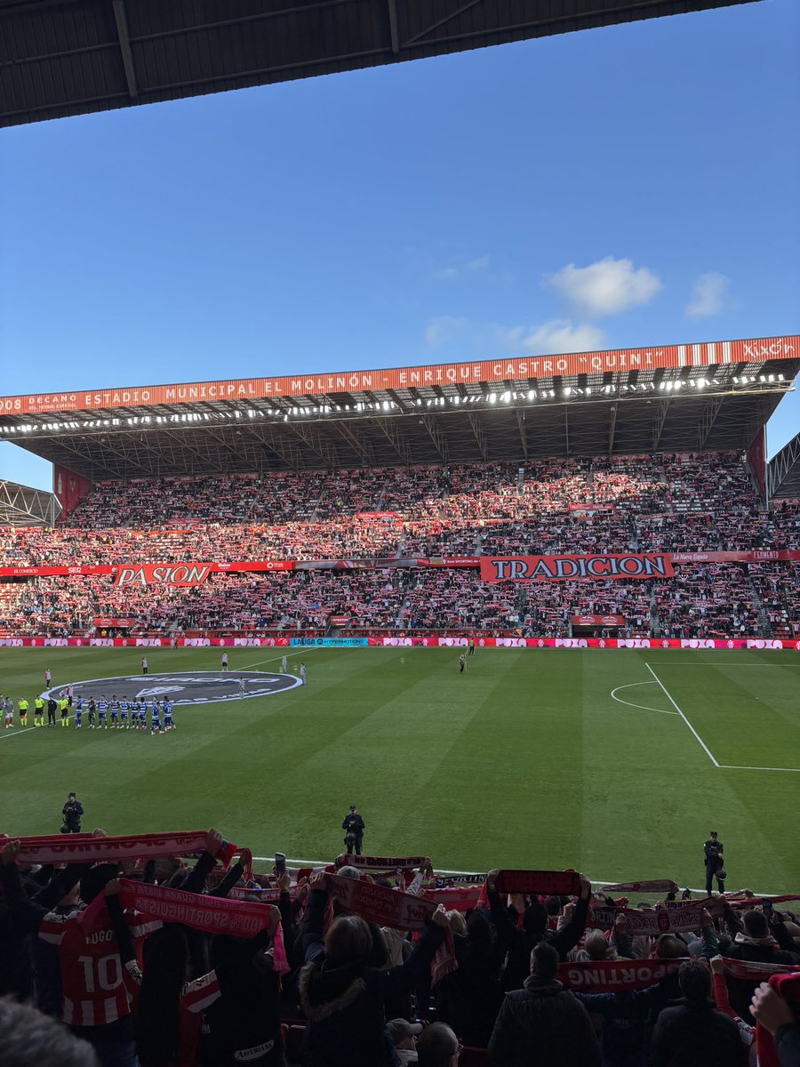 Peña Sportinguista Maverick tweet media