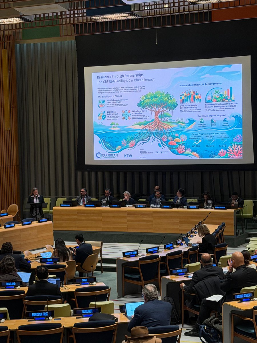 GermanyUN's tweet photo. Congratulations to all recipients of the #SIDS Partnership Awards! We are pleased that @caribbiofund &amp; Low Carbon Sea Transport in Marshall Islands are among the winners, projects nominated &amp; supported by 🇩🇪. We remain a reliable partner of SIDS in achieving resilient prosperity. https://t.co/IRjHVBiCj4