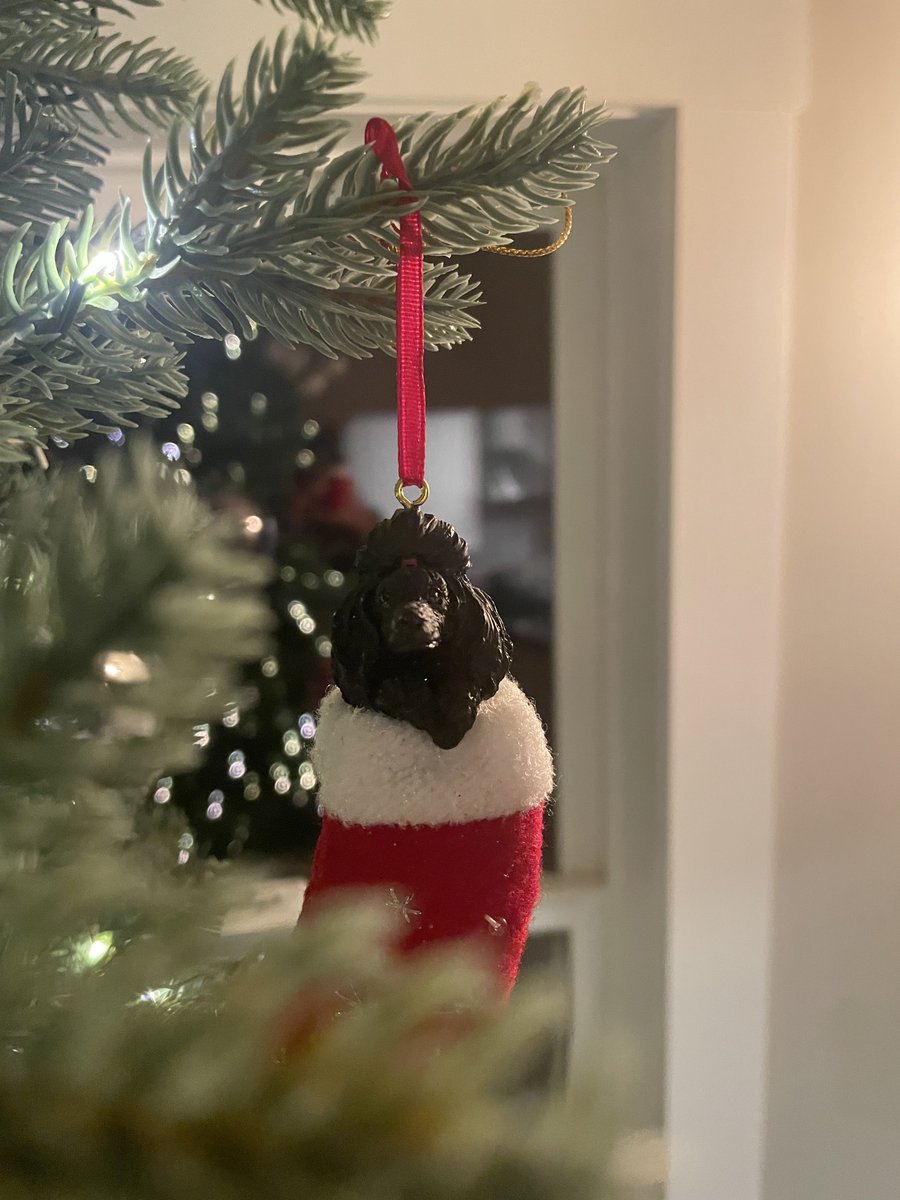 He’s putting up the tree today. This one is a memory of <a href="/poodle_douglas/">Douglas</a>