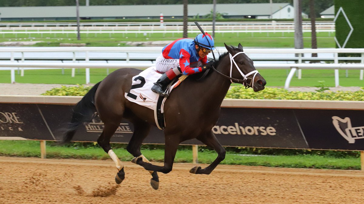 GulfstreamPark's tweet image. Imperatrice bests her competition in the 9th race, @ljlmvel in the saddle for owner Woodland Way and breeder @hsdonalberto. Trainer @PletcherRacing gets his second victory today. #GulfstreamPark #ChampionshipMeet