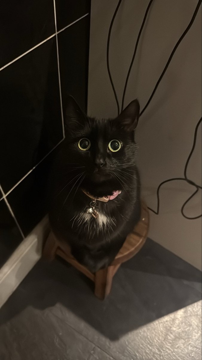 laterundulator tweet media