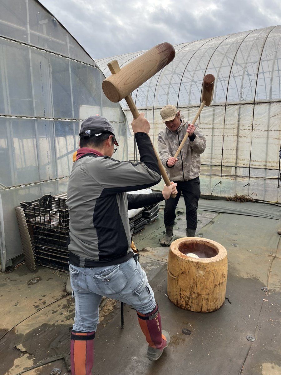 mf_ono23's tweet photo. 今週は、#アグリイノベーション大学校 各農場の年内最終実習！
千葉農場では、恒例のBBQ、そして卒業生主催の餅つきを開催。「臼と杵」での餅つきで盛り上がりました。

「農業やってると、季節の行事がいろいろある。節目を感じる良い機会だと思う」とは、実習講師・柴海先生のお言葉。 https://t.co/ow5P4IQPif