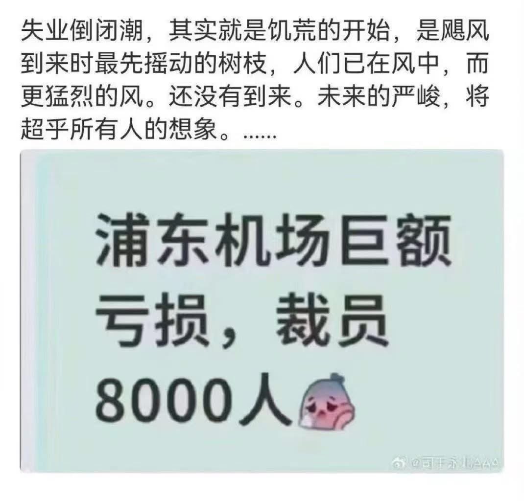 悉尼閑人 tweet media