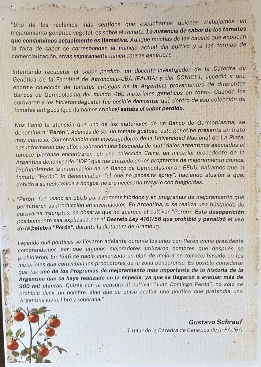 CFKArgentina's tweet image. “La Historia de un Tomate Peronista"

Ayer, un grupo de estudiantes, graduados y docentes de la Facultad de Agronomía de la UBA (FAUBA) me hicieron llegar la historia de un tomate peronista… si, así como se lee.

Quiero compartir con ustedes la historia de la variedad del tomate