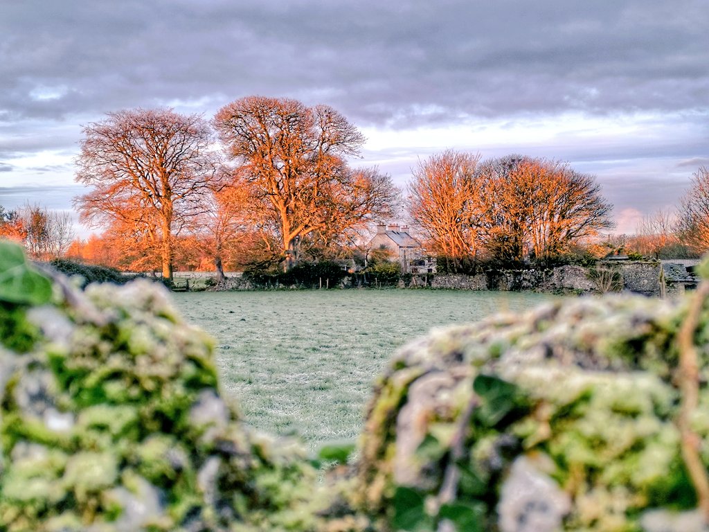 Time to have a little fun.... :) - What does this mean? - 'Deochanna leon  fíon agus itheann cáis - (daw-hana yoan feen agus e-henn kaash) - A - The  owl drinks, image size:1024x768