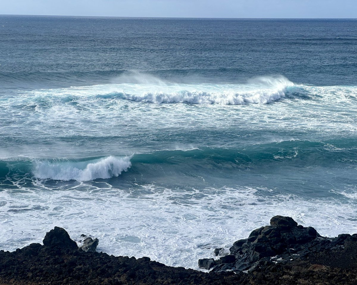 Claire Meakin tweet media