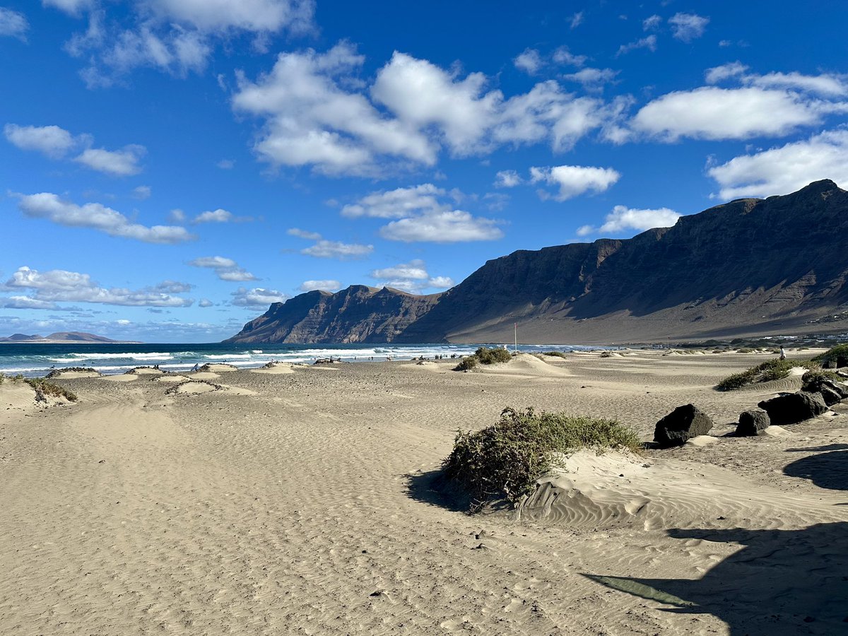 Claire Meakin tweet media