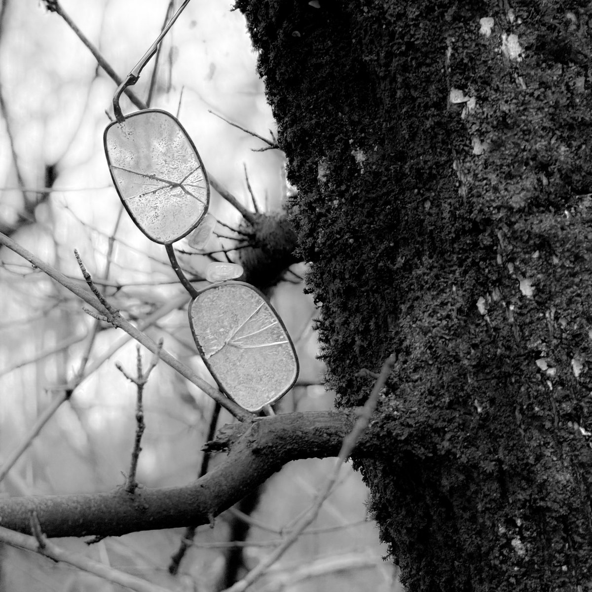 ManouWolff's tweet image. Lost Lenses

#Monochrome #blackandwhitephotographie