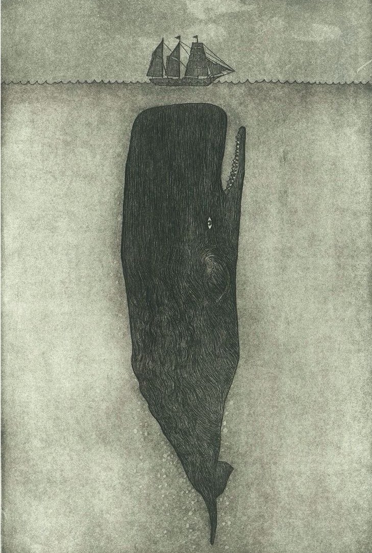 solisolsoli's tweet image. 