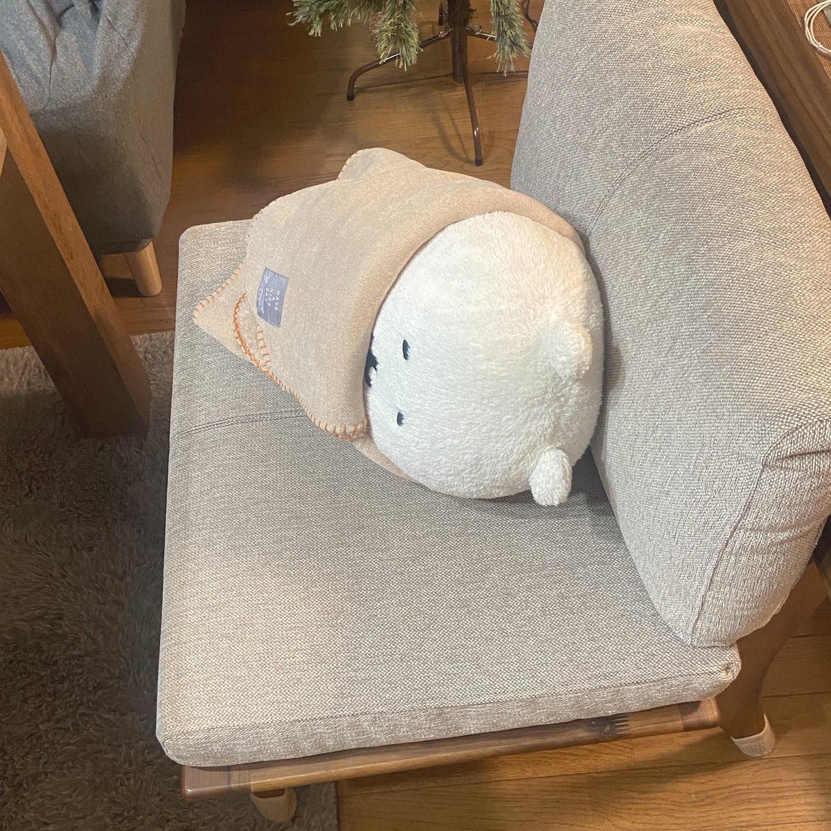 予定ないのに無駄に早起きさせられるくま　横になって抵抗