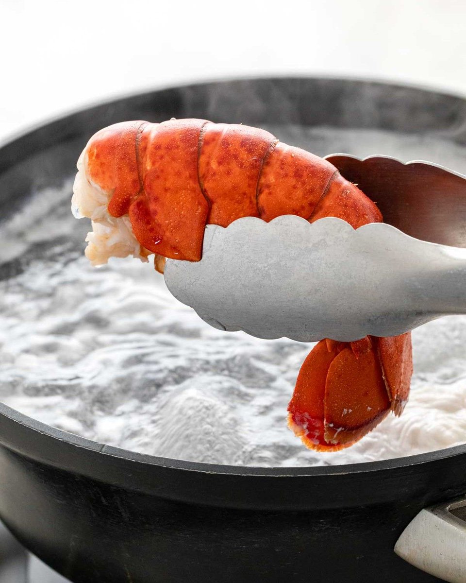 Jessica_Gavin's tweet image. Indulge in a festive feast this Christmas with our mouthwatering recipe for perfectly cooked #lobster tail - it's the perfect way to add a touch of luxury to your holiday celebrations! 🎄🦞 #Recipe: 👉 jessicagavin.com/how-to-cook-lo…

#CookingLobster #LobsterLovers #SeafoodDelight