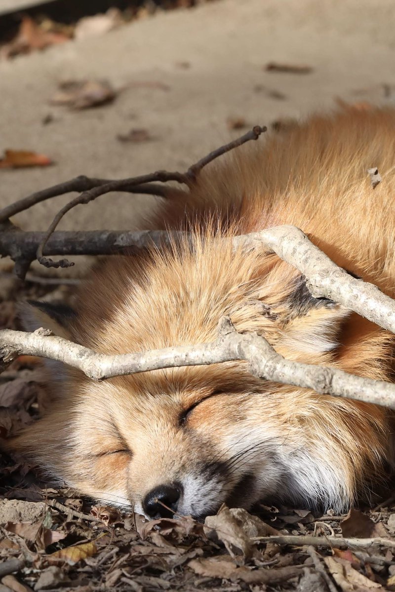 ここちいいみたい…