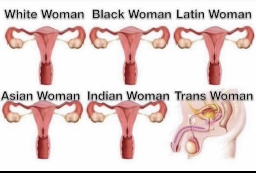 Hazel Appleyard (@hazelappleyard_) on Twitter photo 