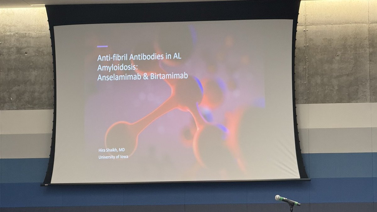 Abdallah81MD's tweet photo. 🎤🧬 Dr. Hira Shaikh @hiragss from @uihealthcare presenting
“Updates in AL Amyloidosis Trials: Anselamimab & Birtamimab”

📊💡 Very informative session at the 3rd Regional Multidisciplinary Amyloid Symposium – Kansas City!
#Amyloidosis #mmsm #myeloma #medtwitter #MedEd #USMIRC @USMIRCNEWS @US_HMC @OncoAlert @MedwatchKate @Larvol