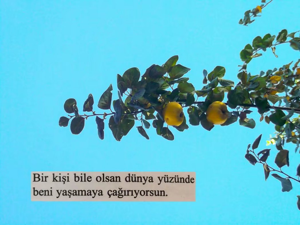 büşra (@faturamdagul) on Twitter photo 