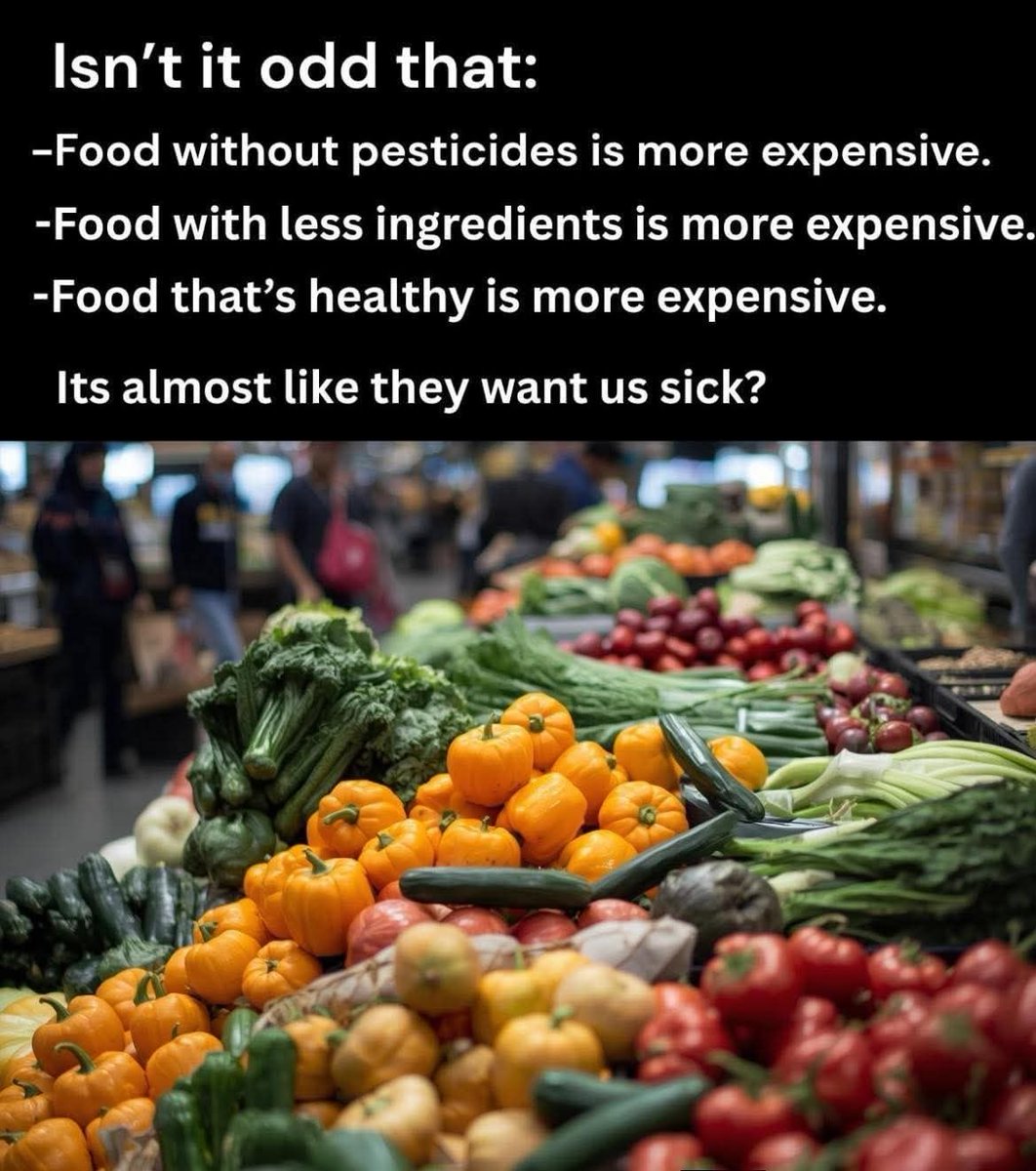 DavidWolfe's tweet image. 