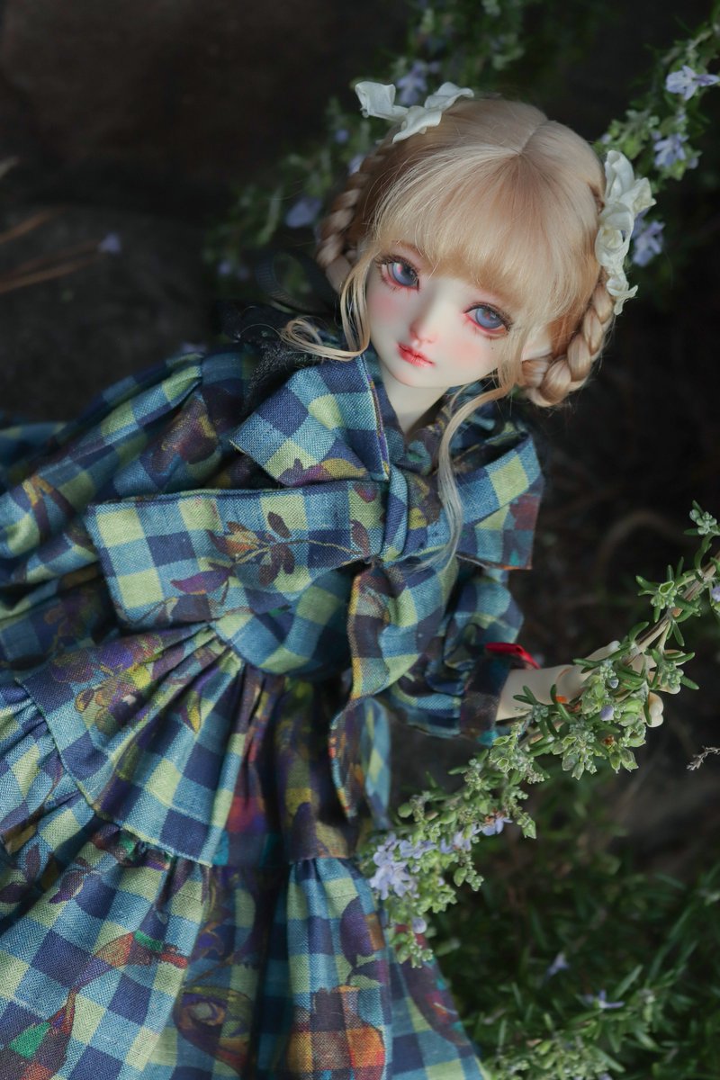 おはようございます。
お仕事行ってきます！
 #おはドル
 #うちのこかわいい