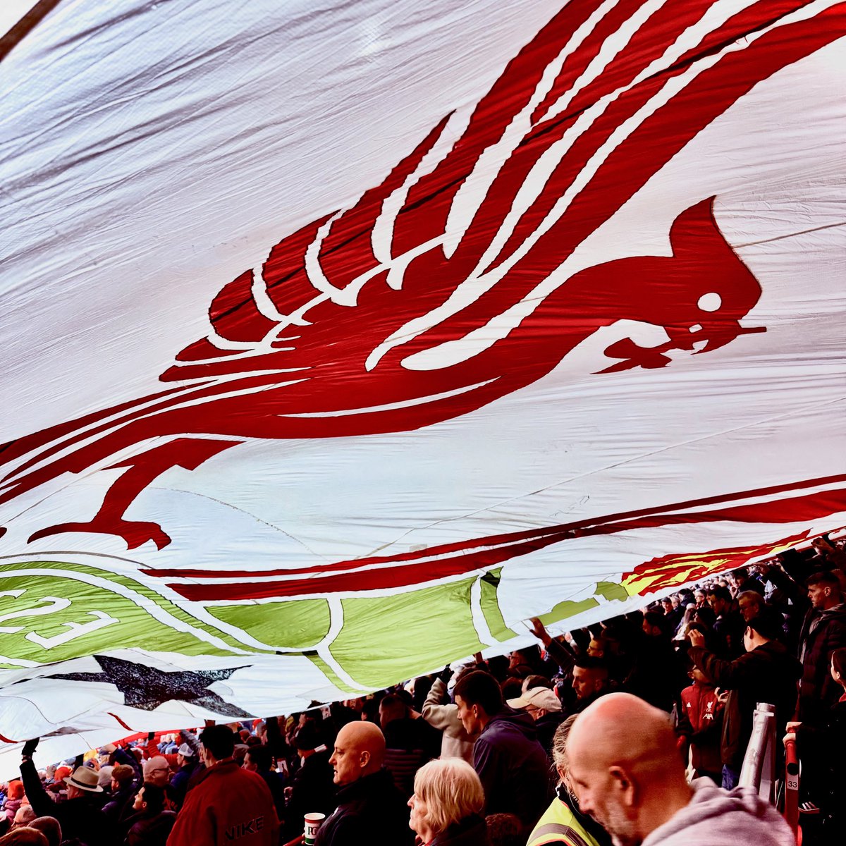 BeersOfAnfieldRoad tweet media