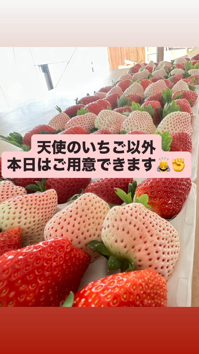 今日も紅白パックご用意できます✊‼️ 9品種横浜髙島屋へお待ちします✨🈵