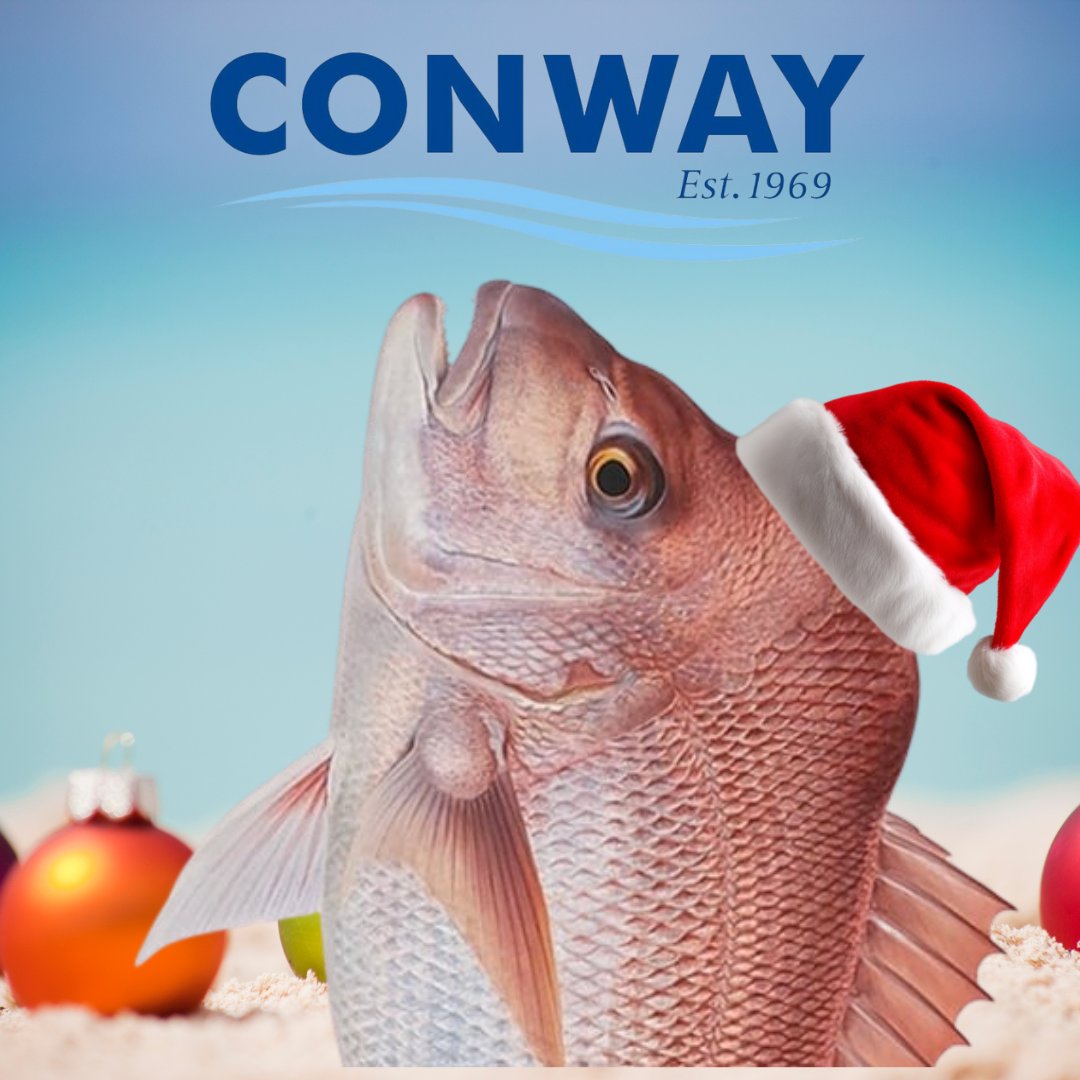 ConwayFish1's tweet photo. Get your Christmas orders in now 🎄🍤- https://t.co/aaaLxj1JaO https://t.co/I6hpIdOYgg